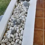 Townhouse In San Pedro- Private Garden, Golf, Beach, Pool *